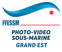 Logo FFESSM Grand Est